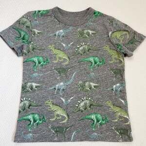Chaser boys dinosaur tee size 5